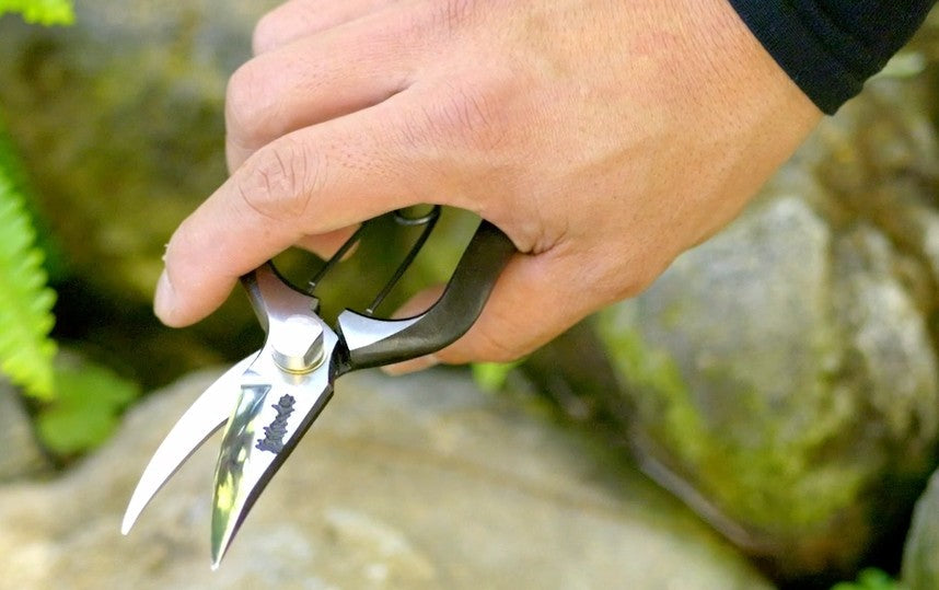 Best Pruning Shears for Small Hands: A Practical Size and Fit Guide