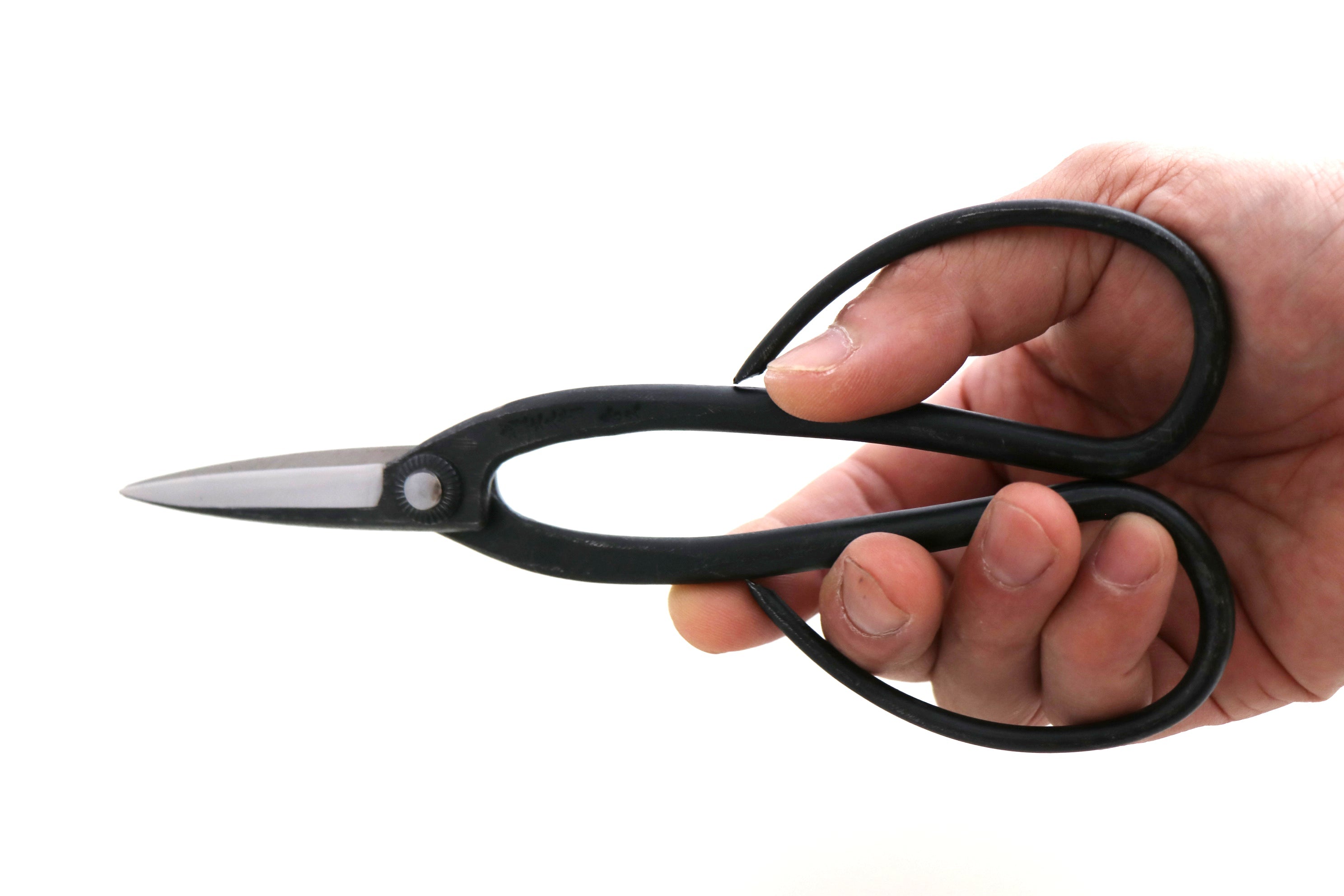 Holding the Toyama Hamono T4-3 bonsai shears—note the index finger extended outside the loop.