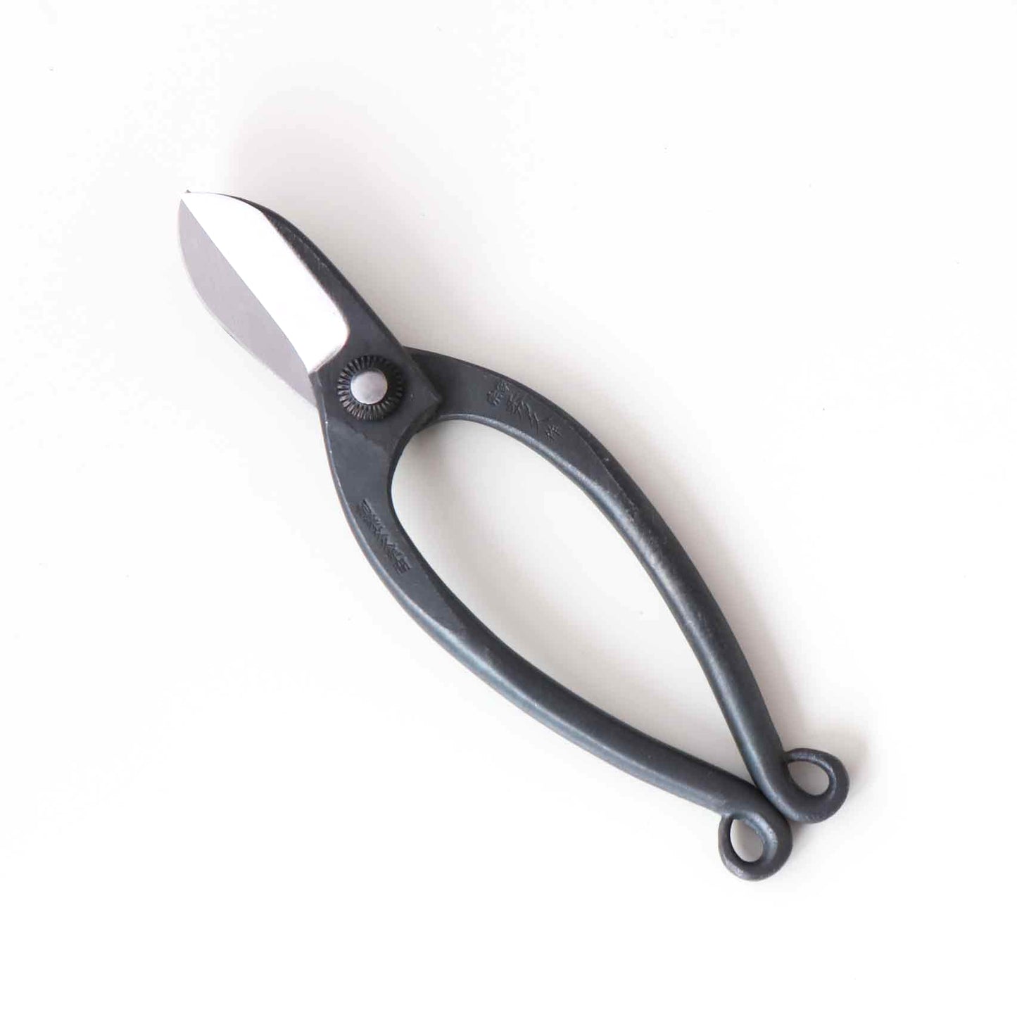 Left-handed flower scissors, fern