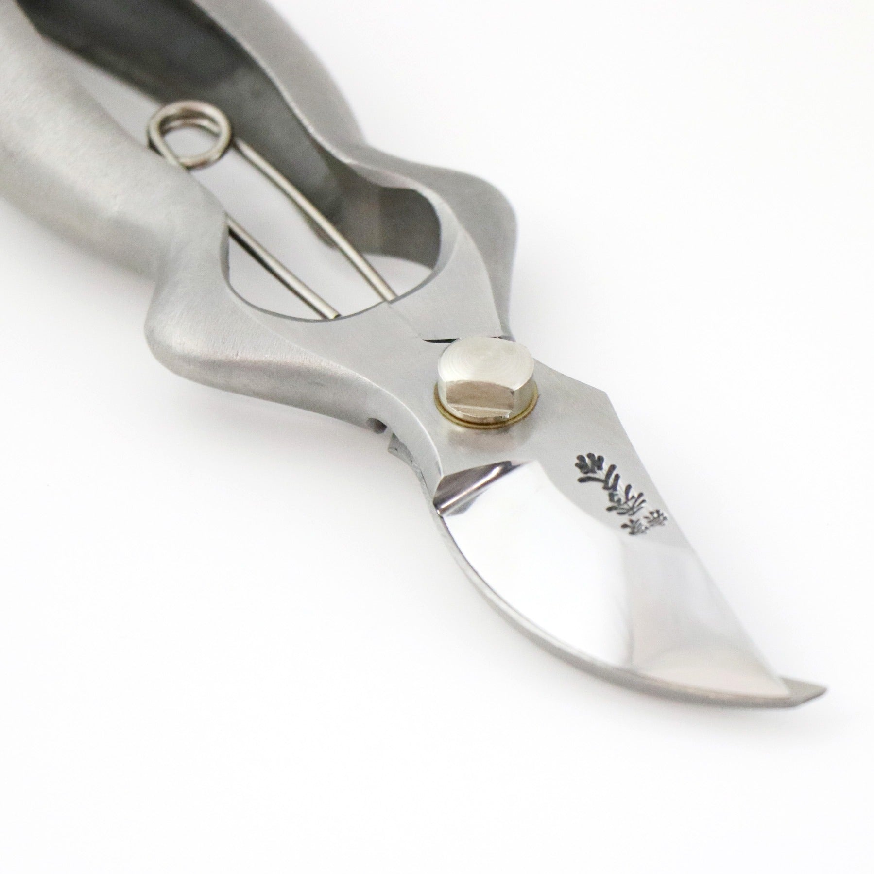 T-22の画像3