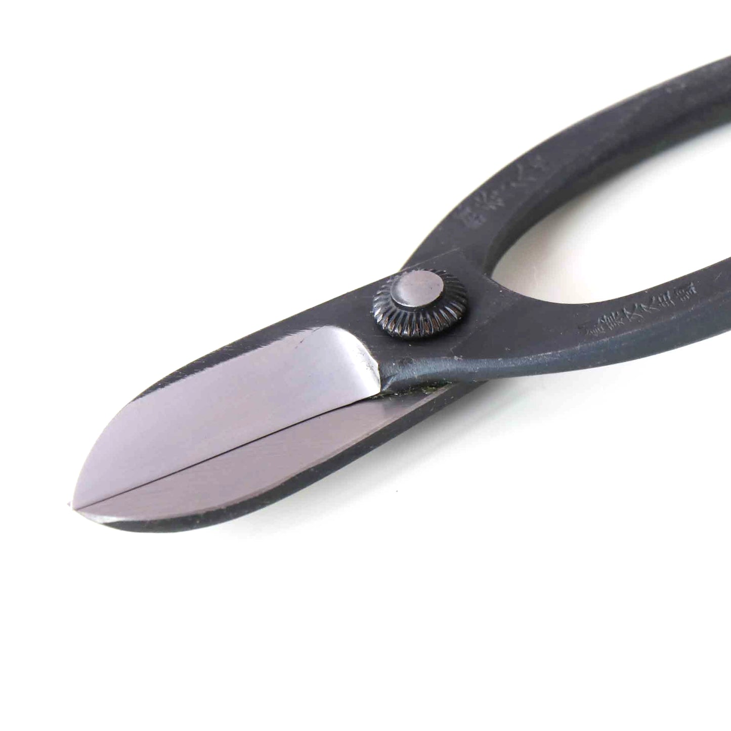 Left-handed flower scissors, fern