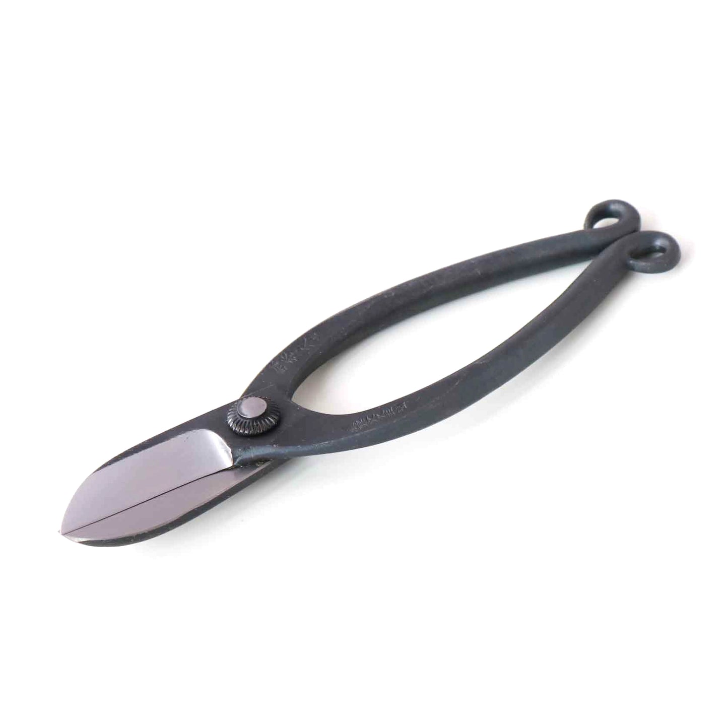 Left-handed flower scissors, fern