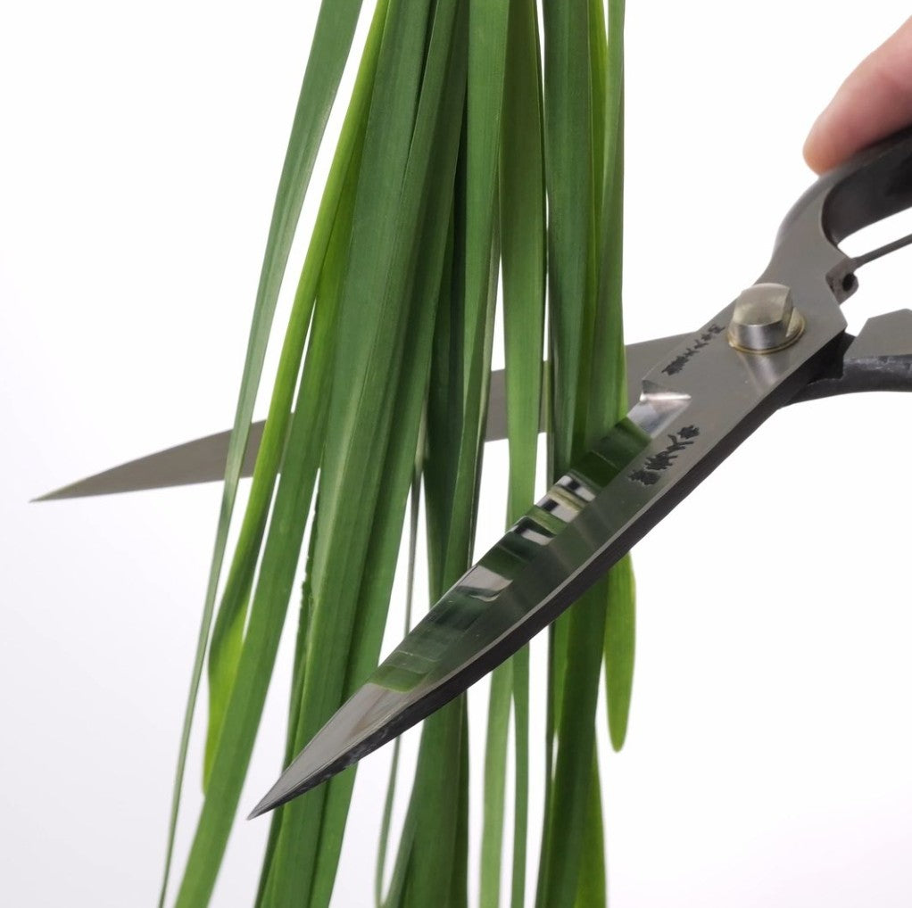 Premium one-handed hedge shears by Toyama Hamono