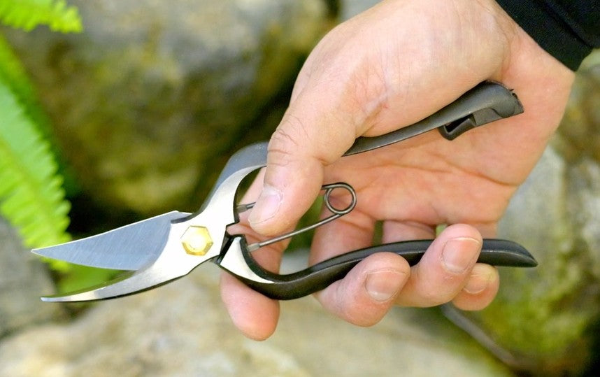 How to Use Japanese Pruning Shears and Garden Snips