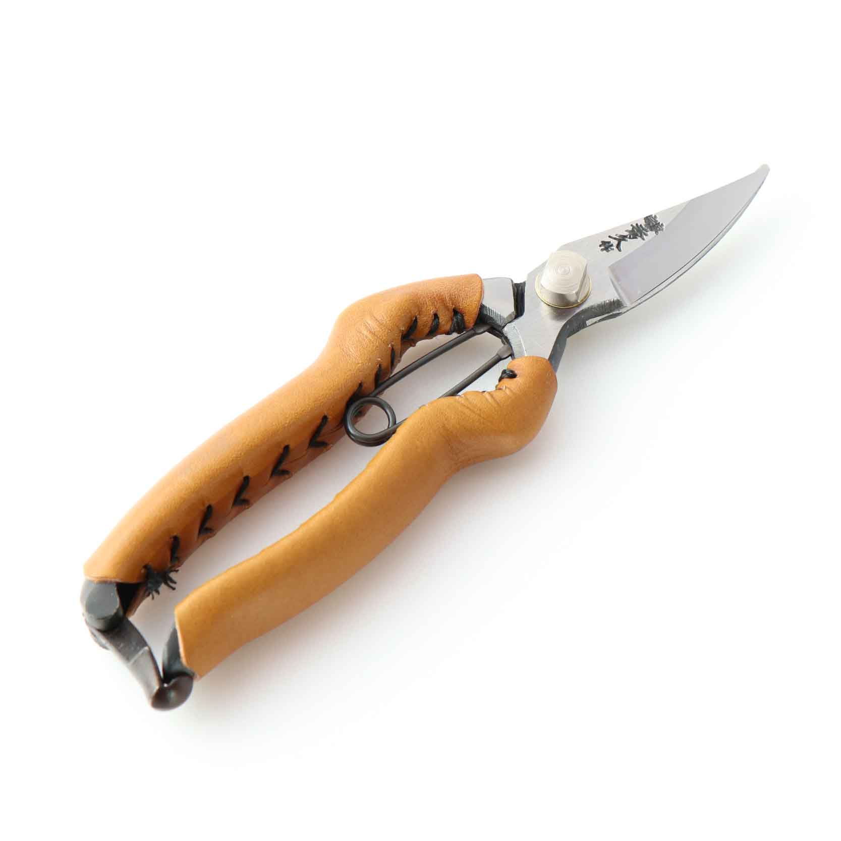 Ｔ‐２６Cの画像２