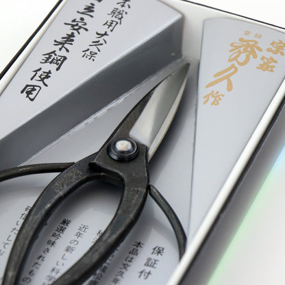 T-1の画像８