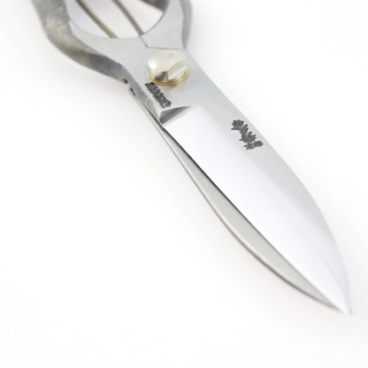 T-16の画像４