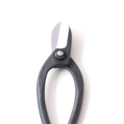 Left-handed flower scissors, fern