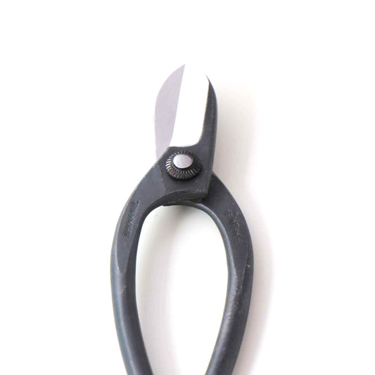Left-handed flower scissors, fern