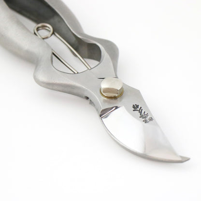 T-22の画像３