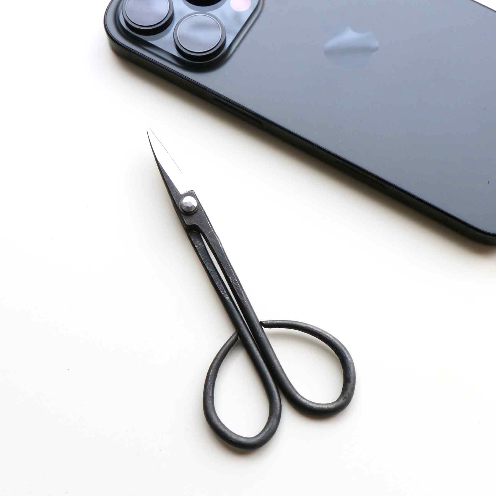 S6 Ultra-Small Bonsai ”Koeda-Kiri” Scissors w/ Looped Grip