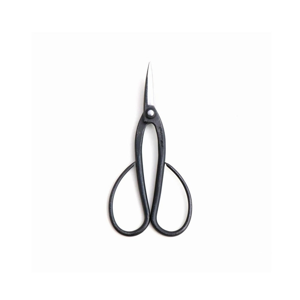 Black scissors on a white background