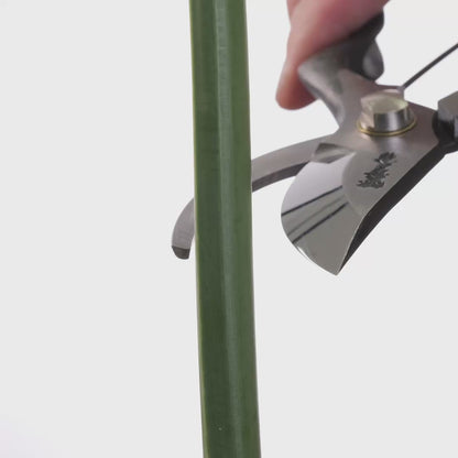 T13 Hand Forged Pruning Shears/Secateurs , High Carbon Steel Asymmetrical Ergonomic Grip Size:M