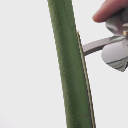 T34 Hand-Forged High-Carbon Steel Pruning Shears/Secateurs with Symmetrical Ergonomic Grip, Size L