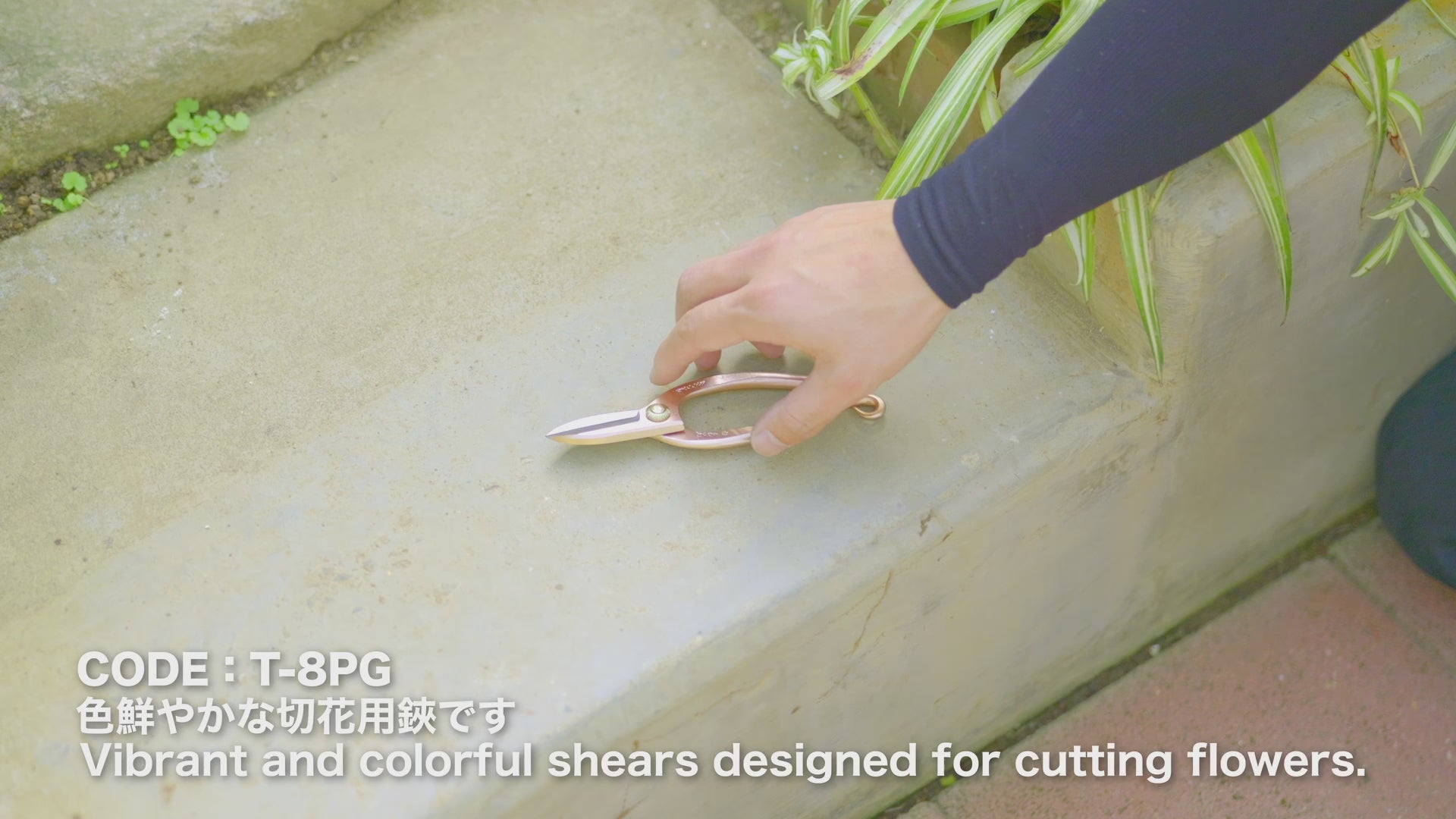 T8PJ Japanese Traditional Ikebana Floral Shears Jr. with Pink Hand-Forged High-Carbon Steel 50 mm Blade