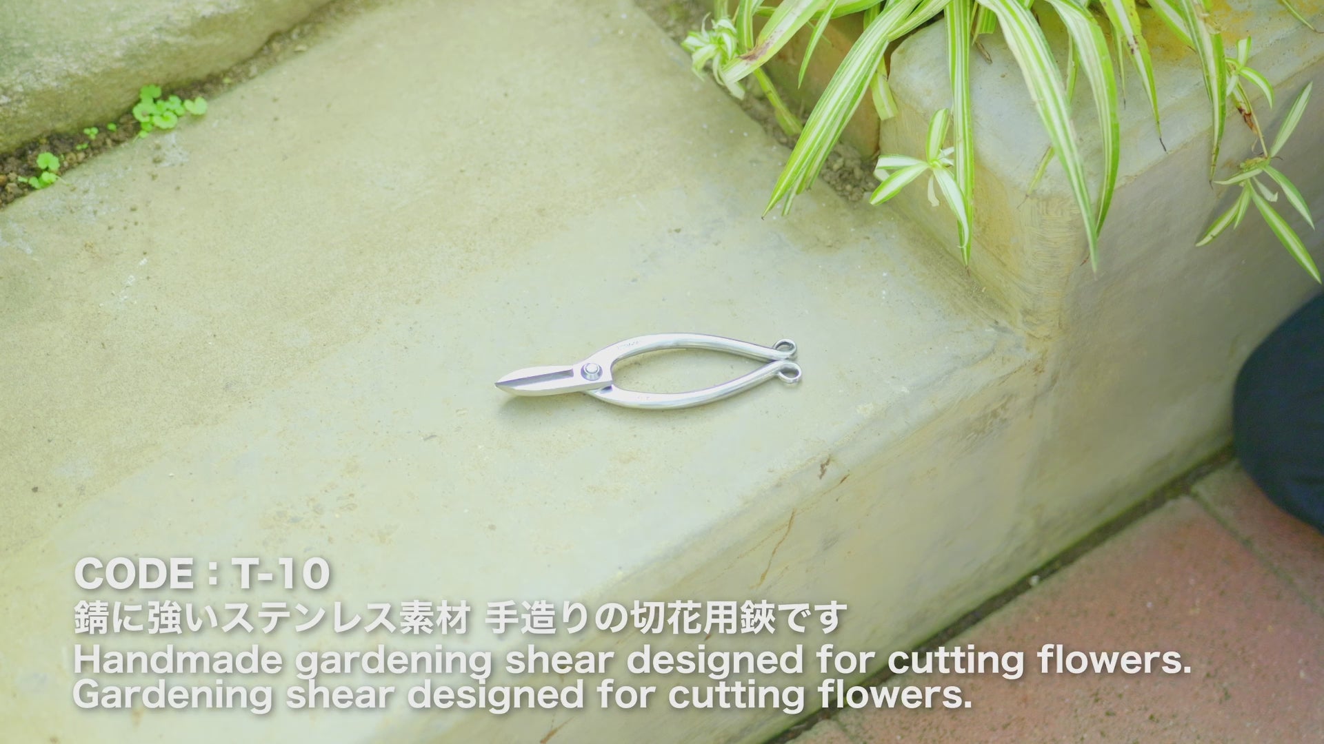 T10 Traditional Japanese  Ikebana Floral Scissors "Warabi-te" Grip,  Stainless Steel