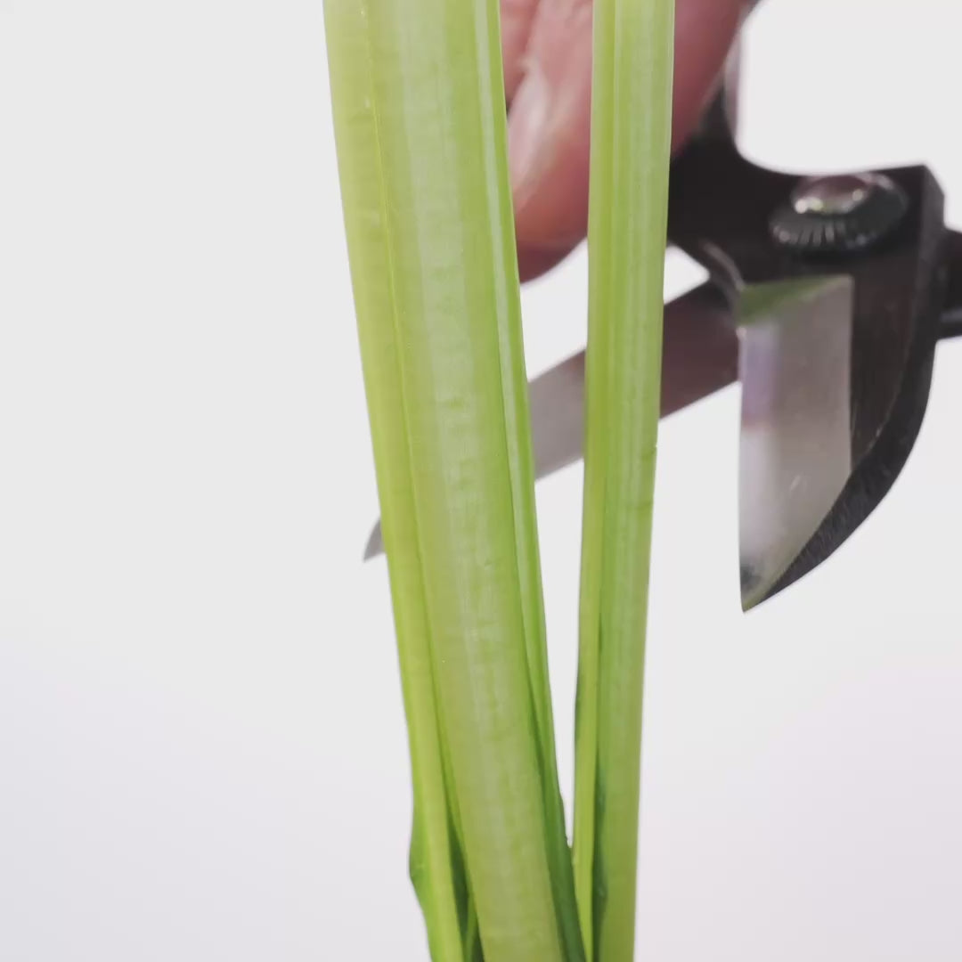 T9 Traditional Japanese  Ikebana Floral Shears Looped Grip Forged High Carbon Steel 50mm Blade