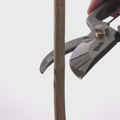 T34 Hand-Forged High-Carbon Steel Pruning Shears/Secateurs with Symmetrical Ergonomic Grip, Size L