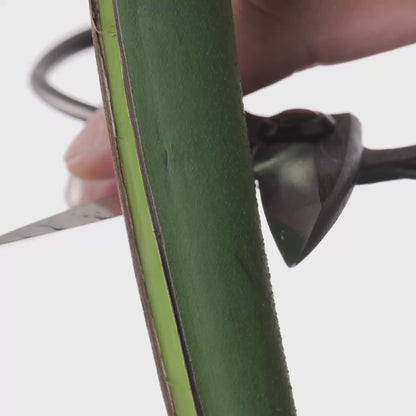 T1 Japanese Traditional Bonsai/Garden Shears ”Okubo” Style