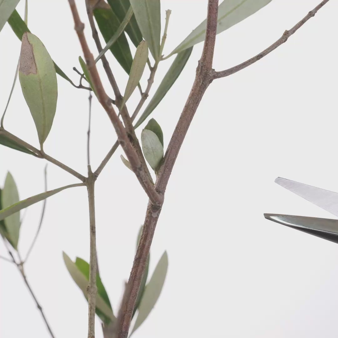 T17 Hand Forged Snips, High Carbon Steel Symmetrical Grip