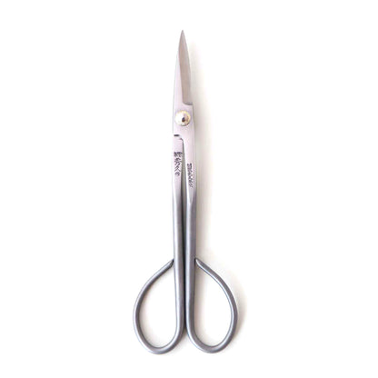 Pair of silver scissors on a white background