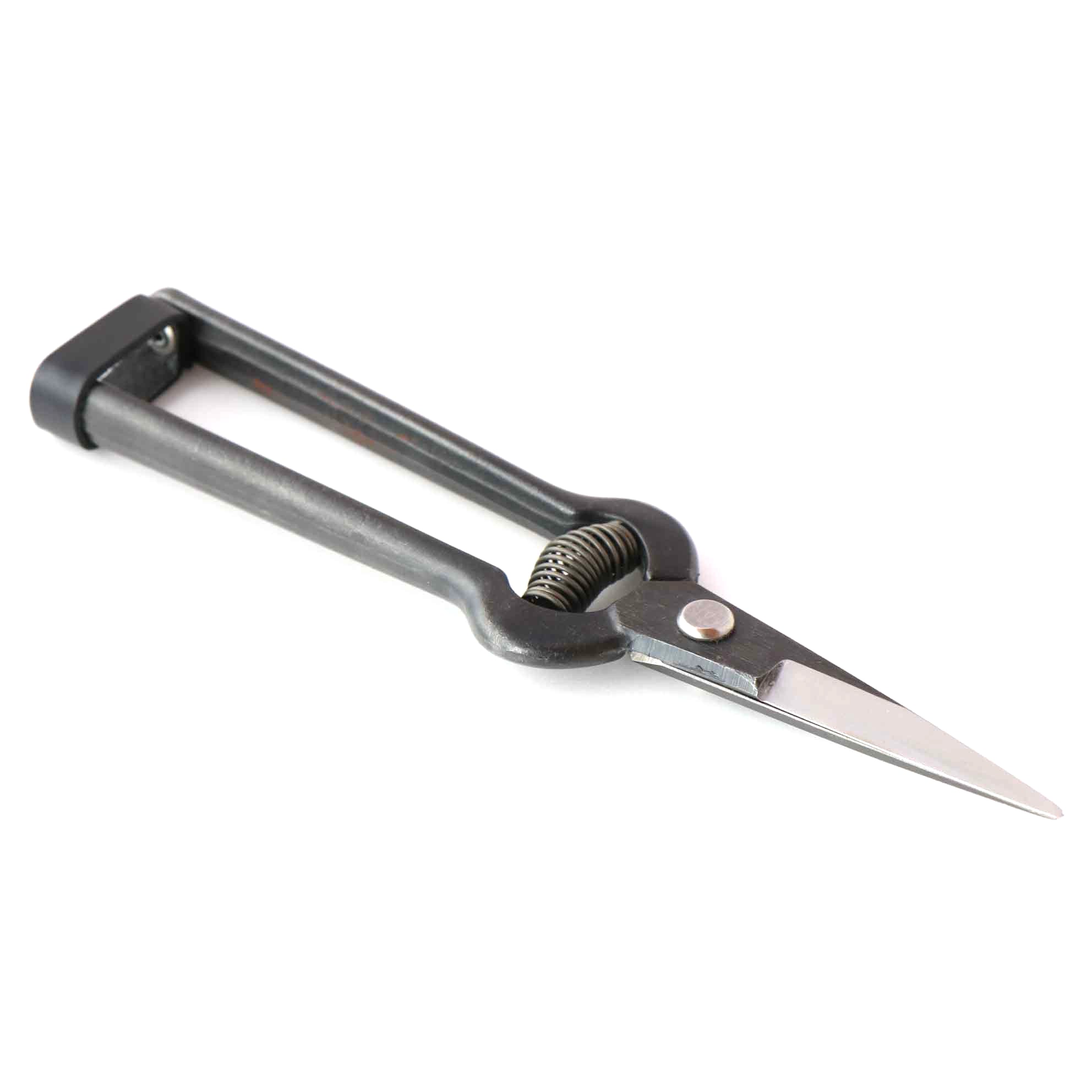A pair of sharp, black-handled garden snips with a metal blade, isolated on a white background.